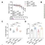 Science子刊 | 华中师范大学仝晶晶等团队合作破解炎症与癌症新机制