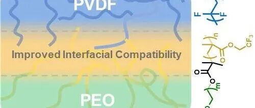 2025新锐科学家专刊 ‖ 华南理工大学黄明俊：调控界面相容性构建双连续纳米网络，实现高性能PVDF/PEO共混固态聚合物电解质