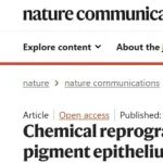 让患者重见光明？昕瑞再生DRUG-seq2助力化学重编程研究诱导视网膜上皮细胞再生