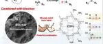 吸附材料1219丨武汉轻工大学王易SPT论文：氨基化生物炭-COFS复合材料在油中高效去除痕量水的吸附性能和机制研究
