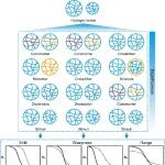 华科大李子福教授 Nat. Commun.：相变纳米凝胶赋能生物医学新突破
