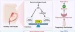 Adv Sci | 浙江大学张银丽等发现高雄激素血症诱发多囊卵巢综合征患者的营养层细胞铁凋亡和早孕流产的潜在机理