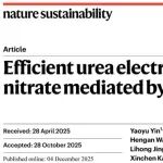 中科院化学所韩布兴院士团队Nat. Sustain：利用离子液体桥接促进CO₂和NO₃⁻电化学还原实现尿素高效合成