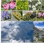Science Advances：造山运动与气候变化驱动生物多样性形成
