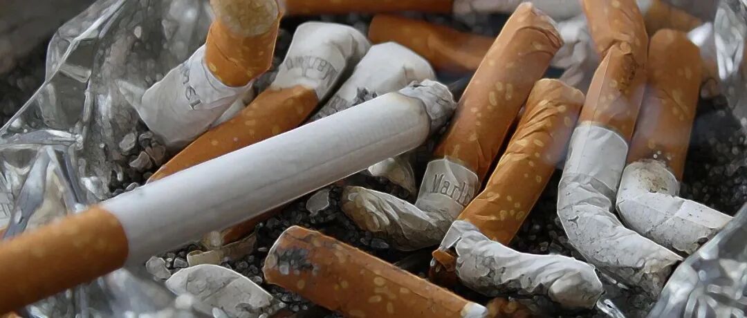 每一口都折寿！32万人研究：每天2支烟，死亡风险增60%，心血管疾病风险飙升50%，吸烟无安全阈值；但戒烟20年，风险降超80%