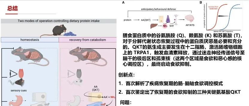 Nature丨劫持细菌ABC转运蛋白用于遗传密码扩展
