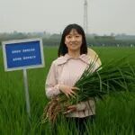 在Nature Commun等期刊上发表论文，四川农业大学水稻研究所2022级博士研究生熊君：每一粒种子都有无限可能