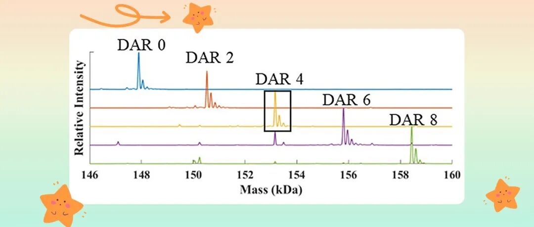 生物药分析专用色谱柱技术进展与定制化策略：聚焦ADC、单克隆抗体与mRNA疫苗