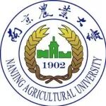 南京农业大学院长团队在国际著名期刊（IF=15.6）再获新进展，揭示超微细菌Patescibacteriota全球多样性及其与宿主代谢互作新机制