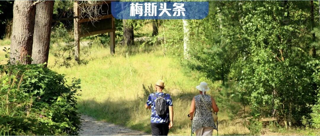 大脑能力32岁才达巅峰！Cell和Nature子刊：一生有4个转折点，32岁正值高效“换挡”期，但内分泌率先失守，开始断崖式衰老