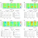 PNAS | 詹阳团队解密“社交脑”：腹侧海马与前额叶皮层如何分工处理社交信息