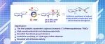 【JACS】中国海洋大学王杨: 手性双杂季碳四氢-β-咔啉的不对称催化构建，实现多环生物碱集群式合成与抗流感新发现