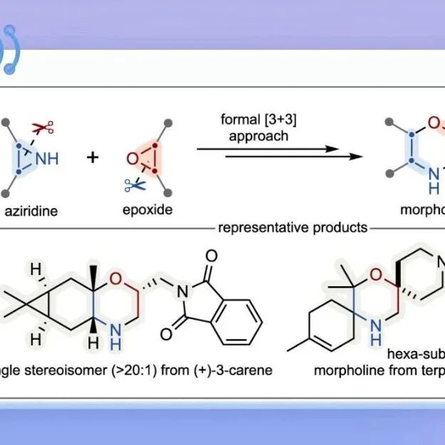 德克萨斯大学Delaney组JACS：氮杂环丙烷-环氧化物间形式[3+3]环化立体可控合成复杂吗啉衍生物