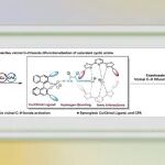 兰州大学许鹏飞/徐国强Chem. Sci.：光氧化还原/铜/手性磷酸协同催化实现饱和环胺相邻C(sp³)-H不对称双官能团化