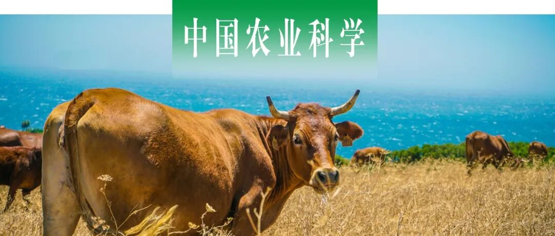 中国农业科学｜中国农科院北京畜牧兽医所智慧畜牧业创新团队综述肉牛生产性能智能监测技术研究进展