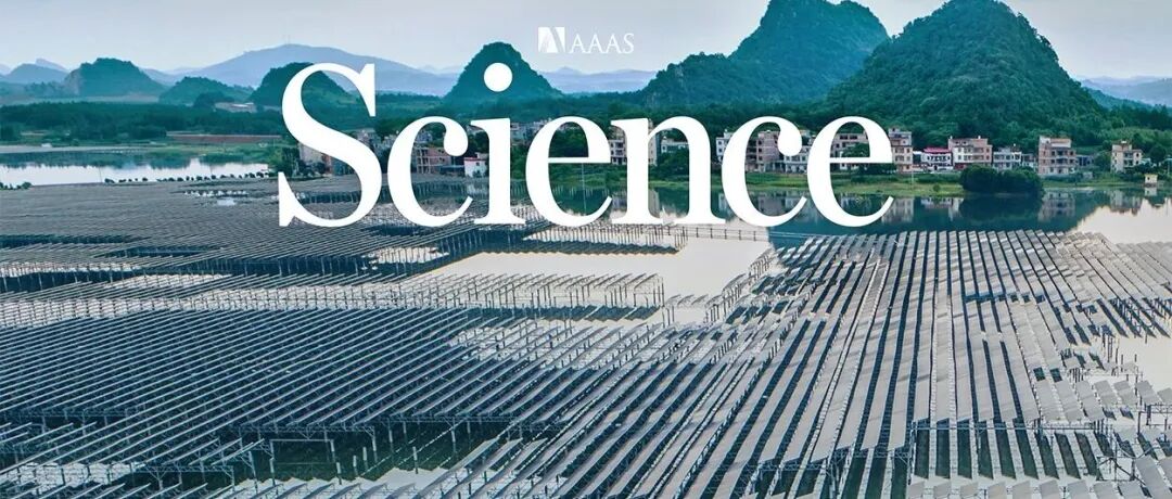 Science作者解读｜全球212种可食用海鱼中PFAS的富集浓度及人群食用的暴露风险