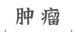 Adv Sci丨易文/朱强团队揭示CD47的核心岩藻糖基化调控肿瘤免疫逃逸的新机制
