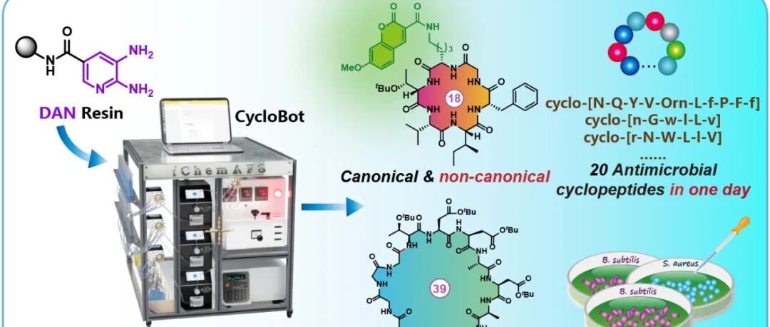 JACS｜把“环肽合成”带入分钟时代：CycloBot 自动化平台重塑化学合成范式