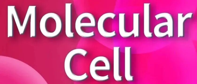 【科技前沿】Mol Cell | 李福明课题组揭示肿瘤线粒体谷氨酰胺转运维持电子传递链完整性的新功能