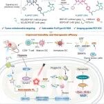 Biomaterials：多合一分子设计可激活型光学诊疗平台用于实现强效的肿瘤耐乏氧光动力免疫治疗