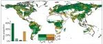 Science Bulletin | 植被增加根区蓄水能力以适应日益加剧的干旱