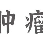 Adv Sci丨易文/朱强团队揭示CD47的核心岩藻糖基化调控肿瘤免疫逃逸的新机制