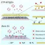 AFM | 同济大学杨正龙教授课题组 ：界面能级调控实现电子-离子解耦以抑制析氢并构建高耐久性锌金属负极