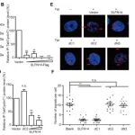 中国医学科学院岑山等团队合作最新Science子刊