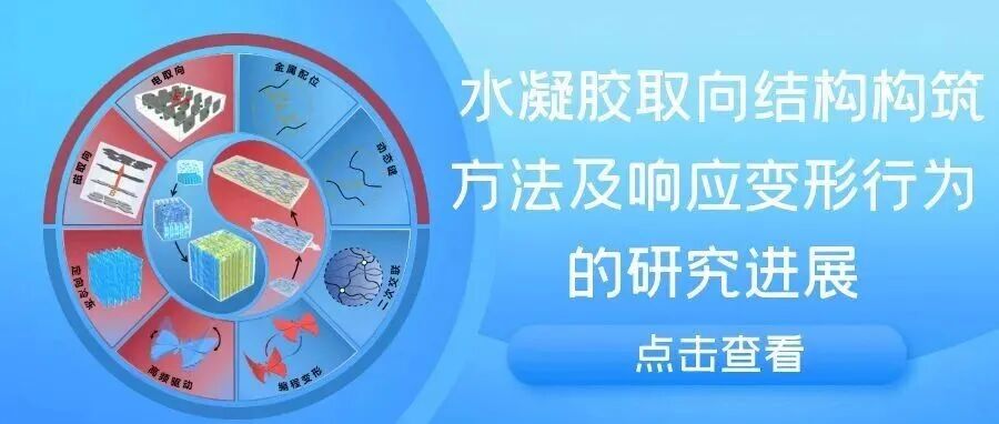 浙江大学赵骞团队综述：水凝胶取向结构构筑方法及响应变形行为的研究进展