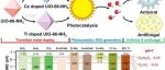 MOFs基材料用于环境污染控制文献整理（2025.12.12-2025.12.19）