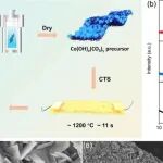 江苏大学/苏州大学ACS Catalysis：11秒碳热冲击合成钴基催化剂用于高效电催化硝酸盐制氨