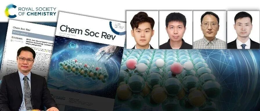 浙大张亦舒/薛飞/汪华/新国大罗健平顶刊综述: 基于二维材料技术的一体化神经形态硬件