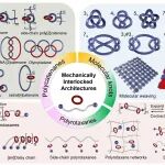 上海交大颜徐州团队 Macromolecules 综述：分子动力学理解机械互锁聚合物