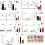 清华大学陈立功/王小虎最新Science子刊