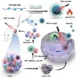 Adv. Mater：NIR-II光激活的钴（III）纳米粒子用于实现光激活的金属化学-免疫治疗
