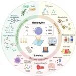 北航常凌乾团队Advanced Science：纳米酶集成生物芯片的智能检测系统研究进展