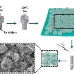 Laser & Photonics Reviews：基于刺球状Ta2O5/Ag纳米颗粒随机激光的深度学习增强水下成像