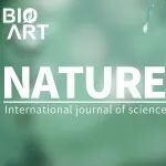 Nature丨酵母着丝粒与动粒的渐进式协同进化