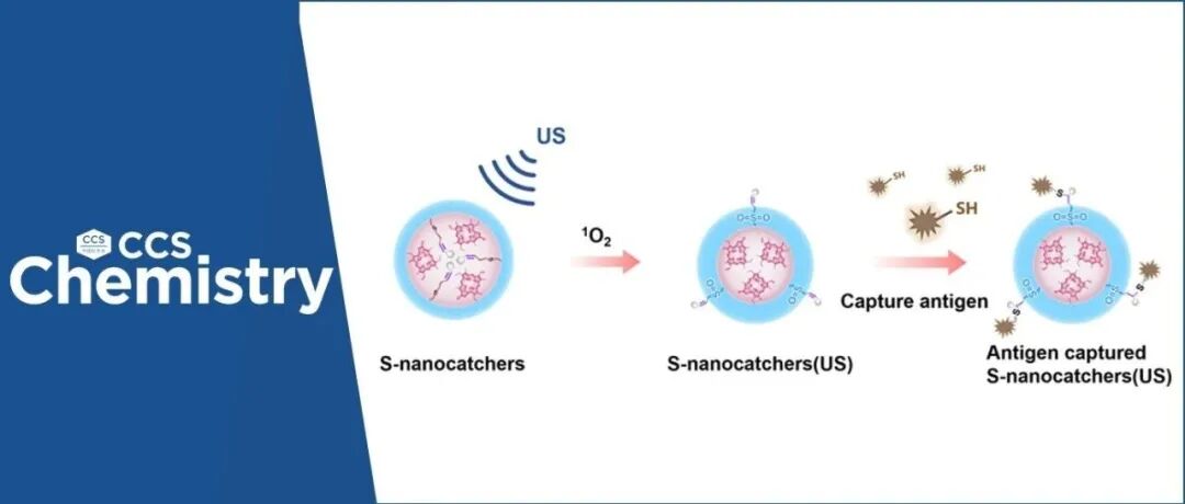 【CCS Chem.】长春应化所汤朝晖研究员：超声响应型原位抗原“纳米捕手”，开启个性化肿瘤免疫治疗新范式