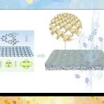 【Angew】浙大刘明团队：多孔有机笼网络结构膜实现药物成分的精准分离