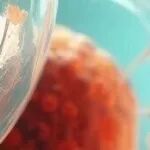 免费下载丨间充质干细胞（MSC）培养与诱导科研入门手册