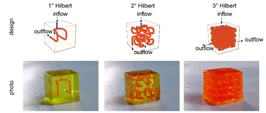 华南理工大学施雪涛团队| 3D打印水凝胶支架构建血管化组织/器官研究进展