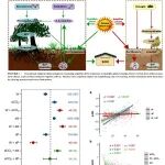 GCB | 全球变暖放大全球变化因子对土壤有机碳的正负效应