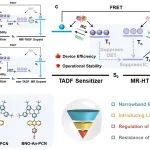 华南理工王志明团队 AFM：同步激活多共振发光材料中的热激子与TTA过程以实现高效稳定的窄发射有机电致发光