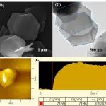 宁夏大学孙辉 Macromolecules：超快分子内环化诱导自组装高效制备六方纳米片