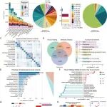Nucleic Acids Res｜国家生物信息中心章张/马利娜团队发布人类长非编码RNA表达数据库LncExpDB 2.0