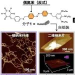 千叶大学等通过改变光的强度来自由控制纳米材料的形态