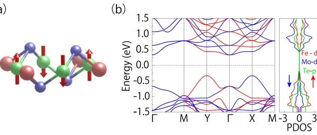 (纯计算)西北大学李思团队Phys. Rev. B: 二维交错磁铁基过渡金属硫族化合物的谷依赖电子性质