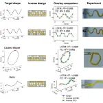 AFM | 浙江大学肖锐研究员团队：机器学习辅助4D打印液晶弹性体复合结构快速逆向设计