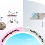 AM | 华南理工大学马春风教授：高分子材料创新设计 - 实现高效海洋防污